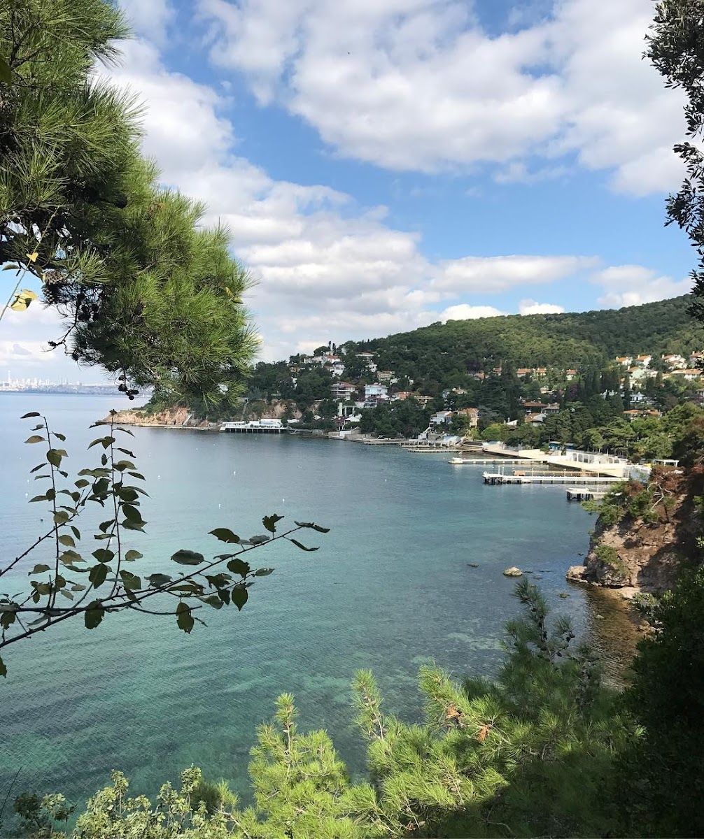 Dilburnu Tabiat Parkı — fotoğraf 2