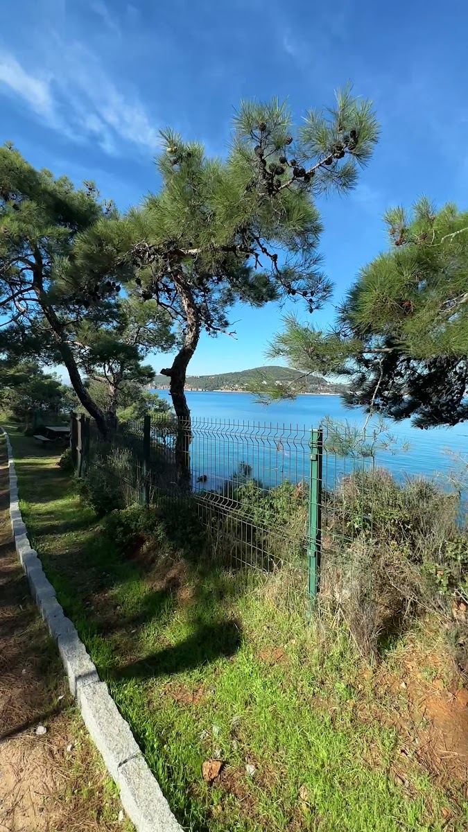 Dilburnu Tabiat Parkı — fotoğraf 4