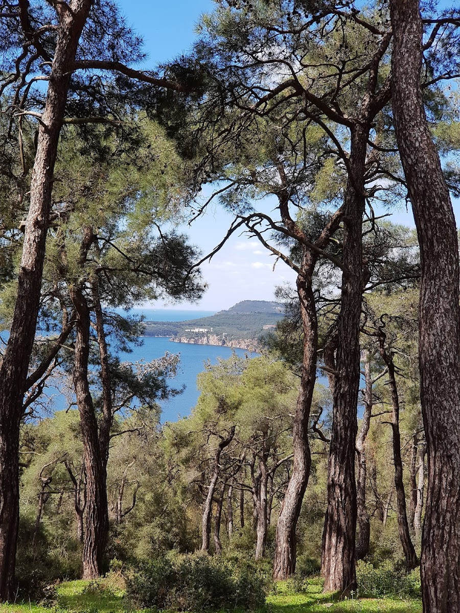 Dilburnu Tabiat Parkı — fotoğraf 10