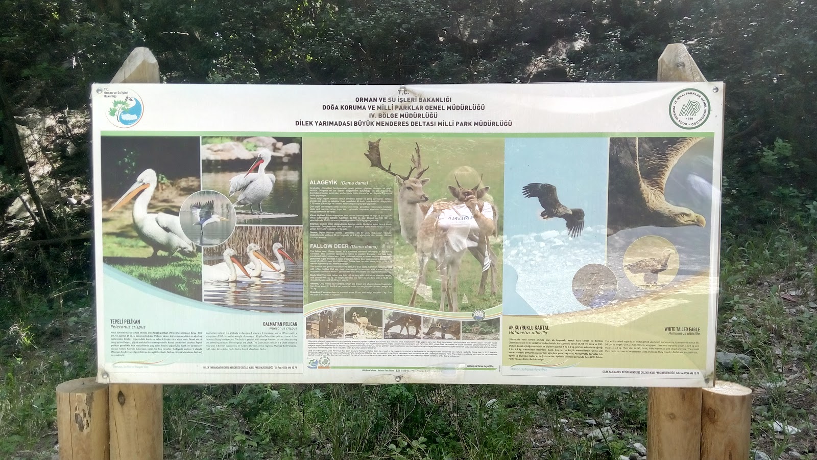 Dilek Yarımadası Büyük Menderes Deltası Milli Parkı — fotoğraf 5