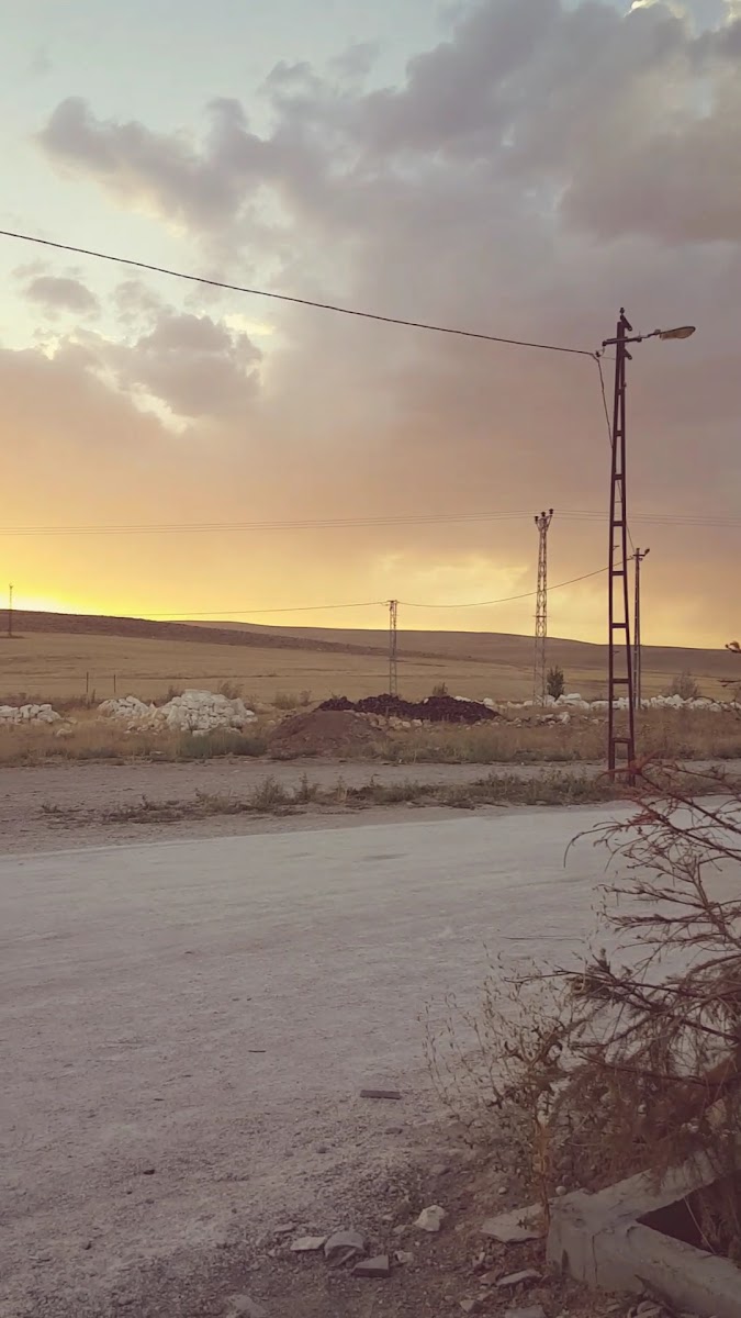 DİYADİN LOKMAN HEKİM KAPLICALARI-TERMAL OTEL — fotoğraf 3