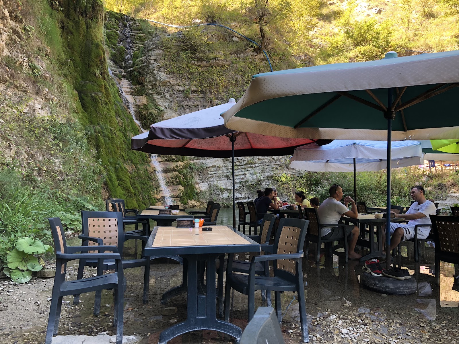 Doga Harikasi Canli Alabalik — fotoğraf 1