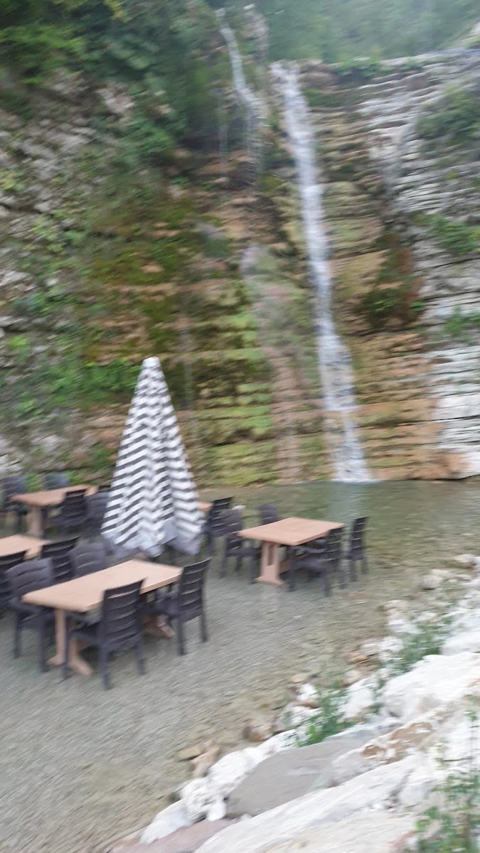 Doga Harikasi Canli Alabalik — fotoğraf 3