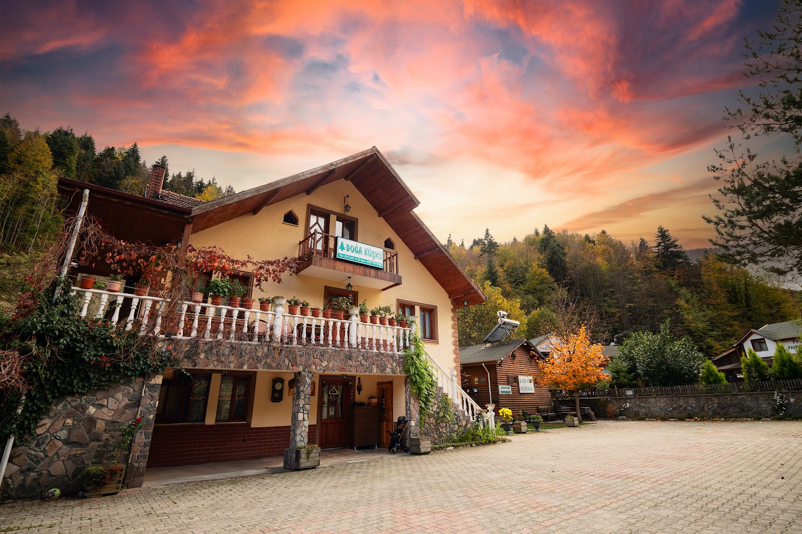 Doğa Köşkü Abant Bungalov Evleri (ALKOLSÜZ) — fotoğraf 1