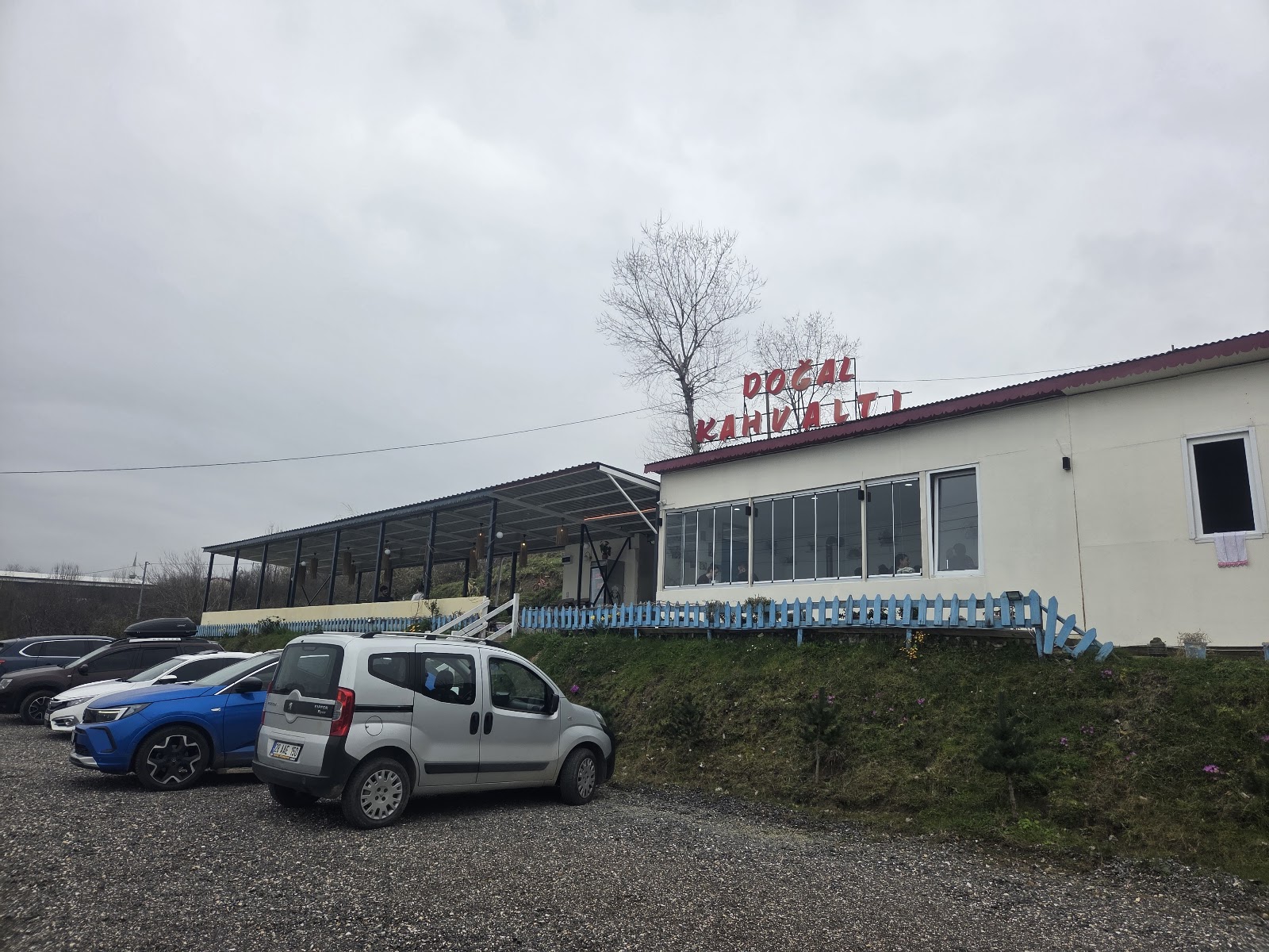 Doğal restoran — fotoğraf 1