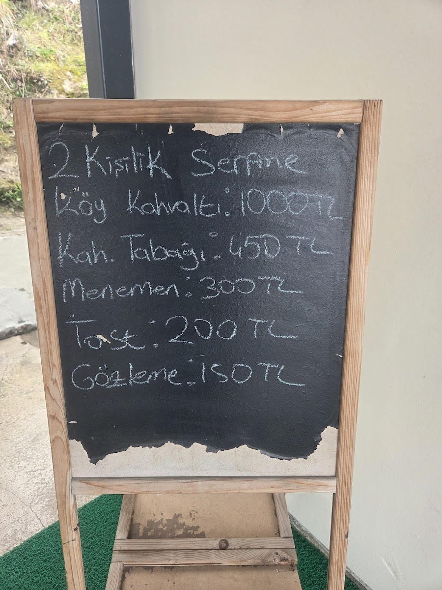 Doğal restoran — fotoğraf 2