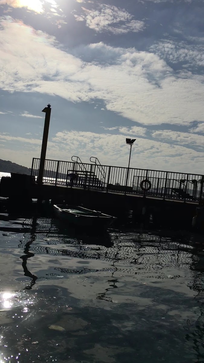 Dolmabahçe Camii — fotoğraf 3