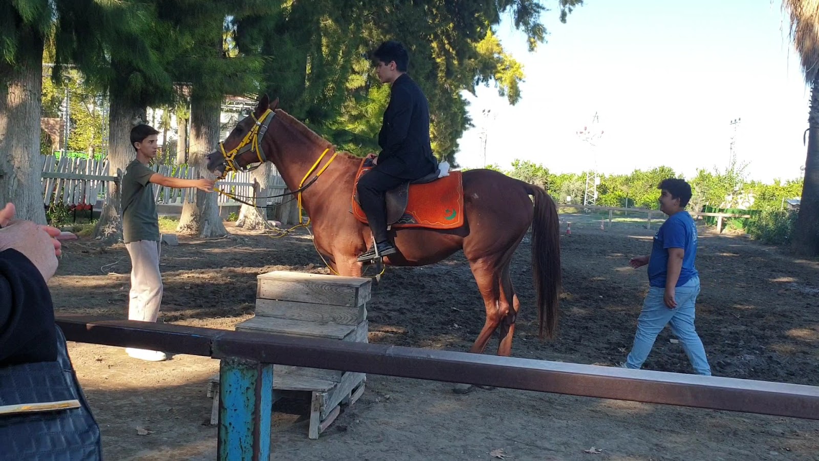 Dörtyol Atatürk At Çiftliği — fotoğraf 3