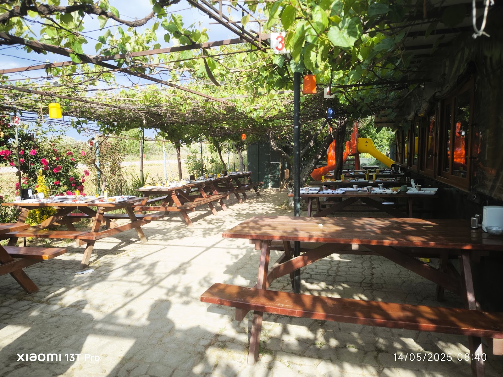 Doyuranlar Gözleme Ayran Çay — fotoğraf 1