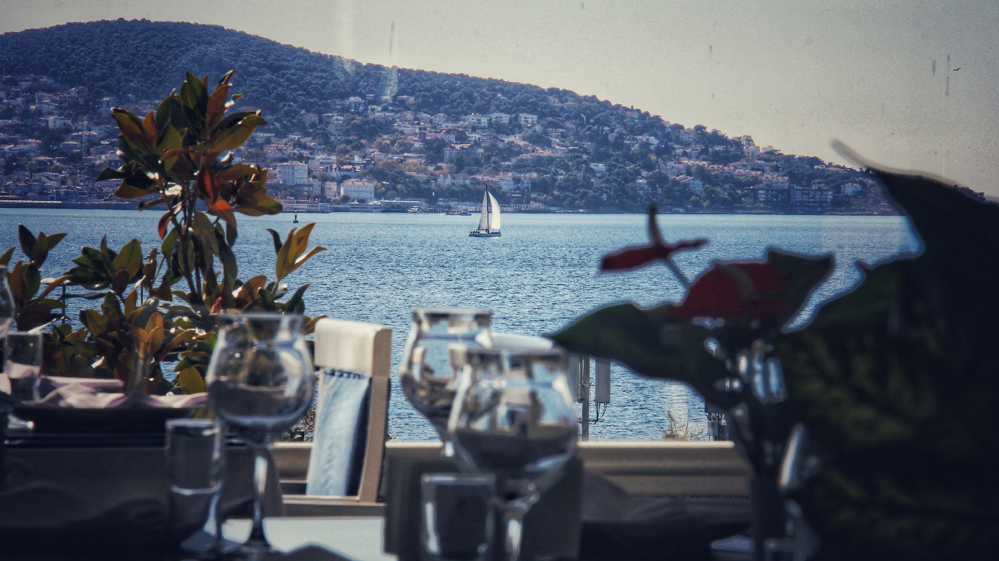 Dragos Balık — fotoğraf 10