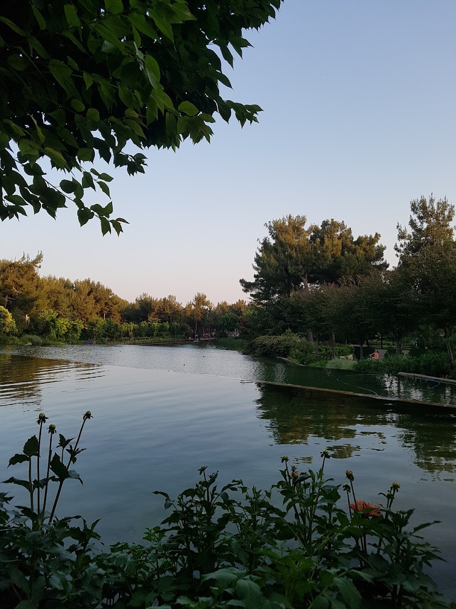 Dülükbaba Biyolojik Göleti — fotoğraf 1