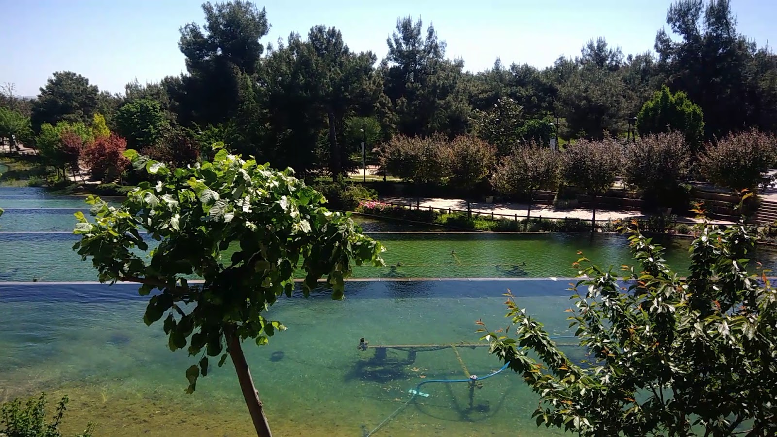 Dülükbaba Biyolojik Göleti — fotoğraf 3