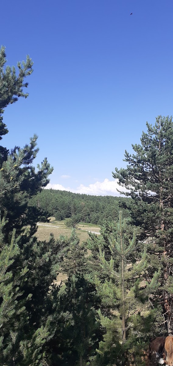 Dumanlı Tabiat Parkı — fotoğraf 2