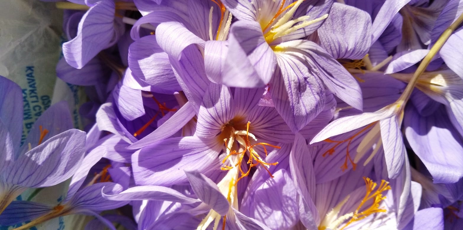 Dupnisa Mağarası — fotoğraf 4