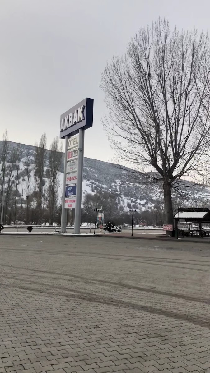 Durlanık Dinlenme Tesisleri — fotoğraf 3