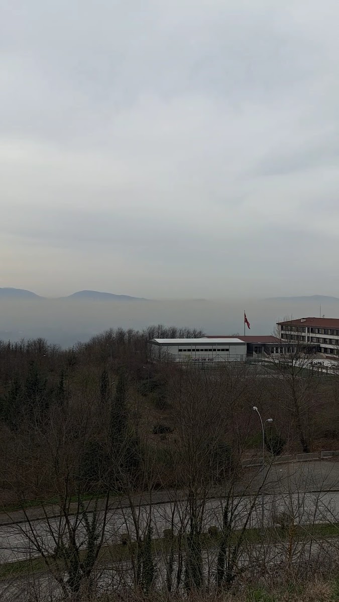 Düzce Seyir Terası — fotoğraf 3