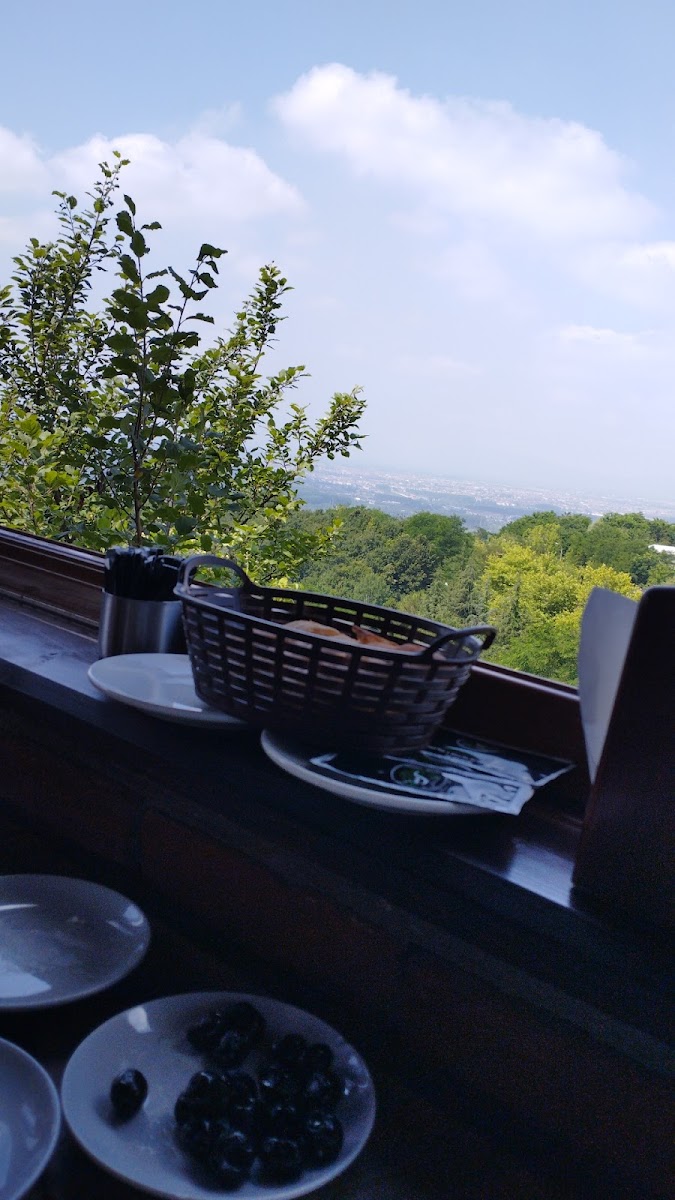 Düzce Seyir Terası — fotoğraf 5