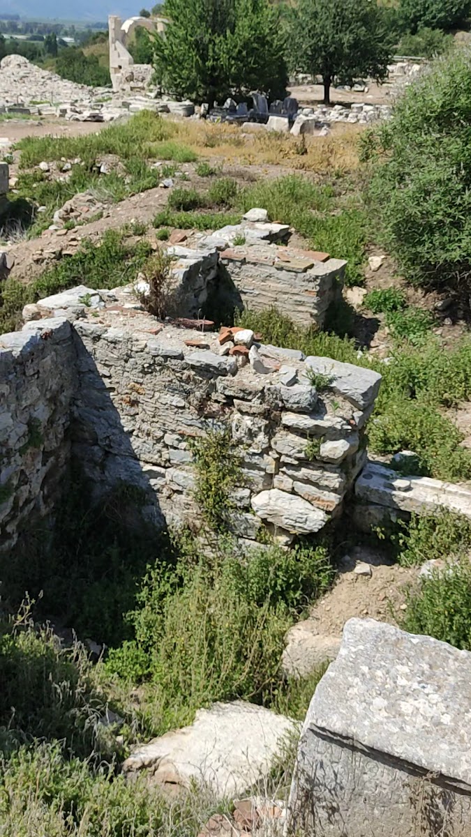 Efes Arkeolojik Alanı — fotoğraf 3