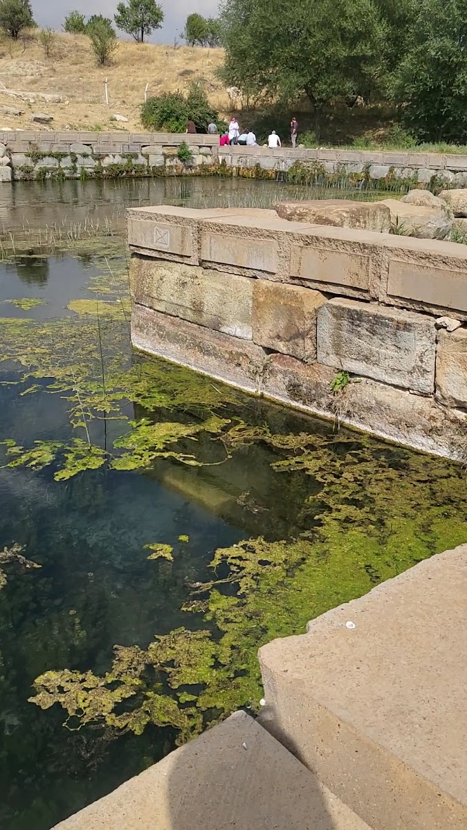 Eflatun Pınarı /Hitit Su Anıtı — fotoğraf 3