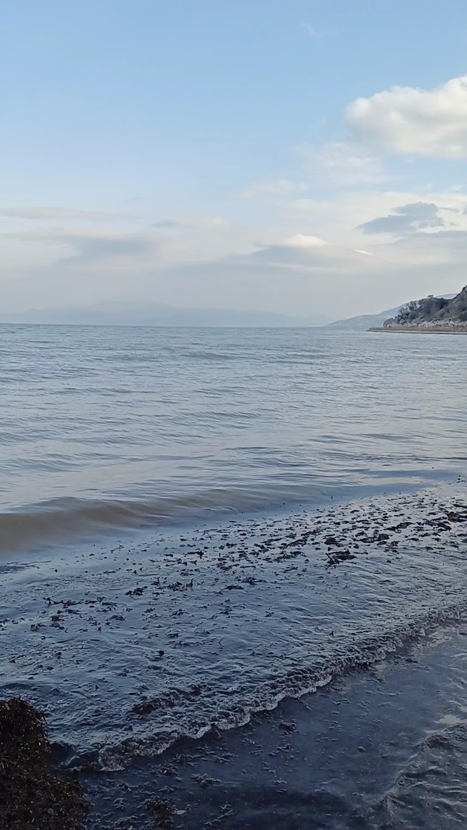 Eğirdir Gölü — fotoğraf 2