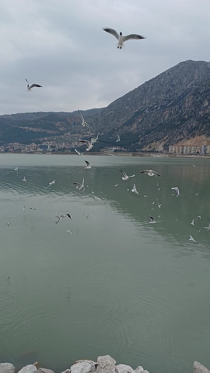 Eğirdir Kalesi — fotoğraf 2