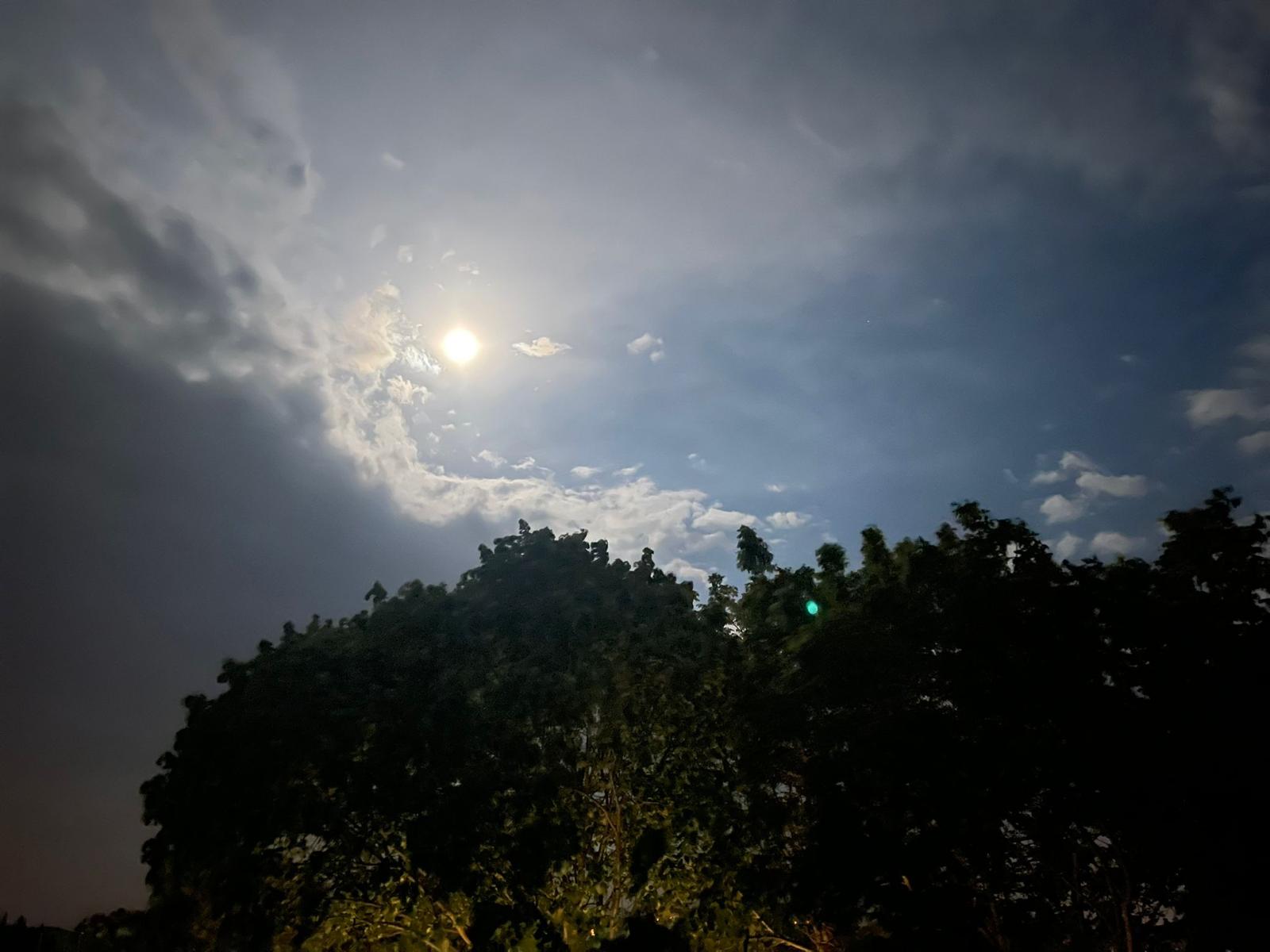 Ekmeksiz Tabiat Parkı — fotoğraf 1