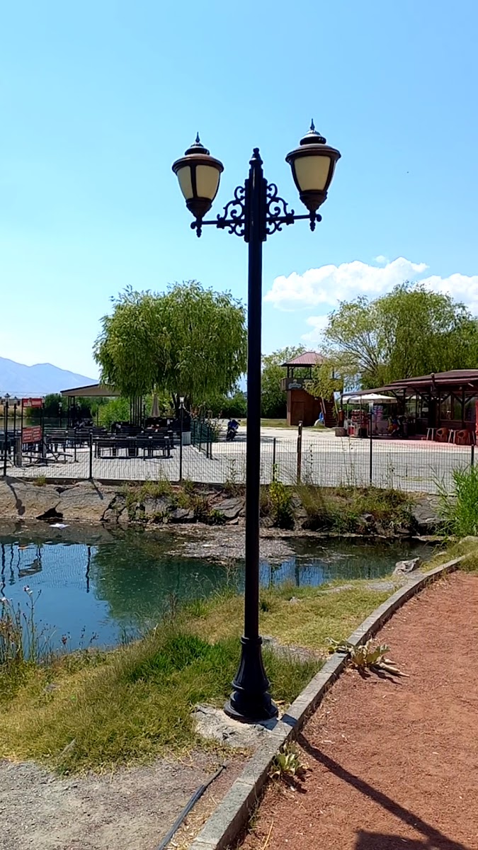 Ekşisu Mesire Alanı — fotoğraf 5