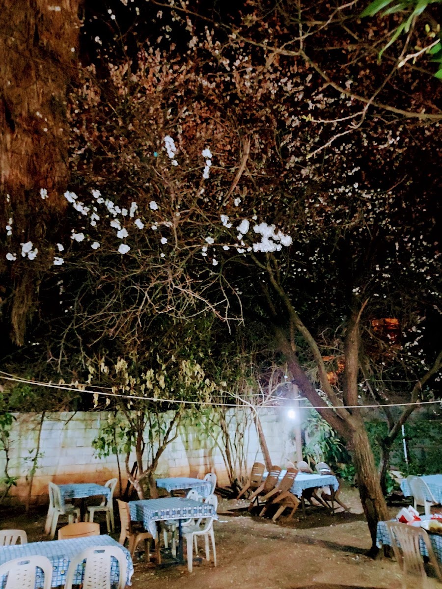 Elbruz Pide Salonu — fotoğraf 4