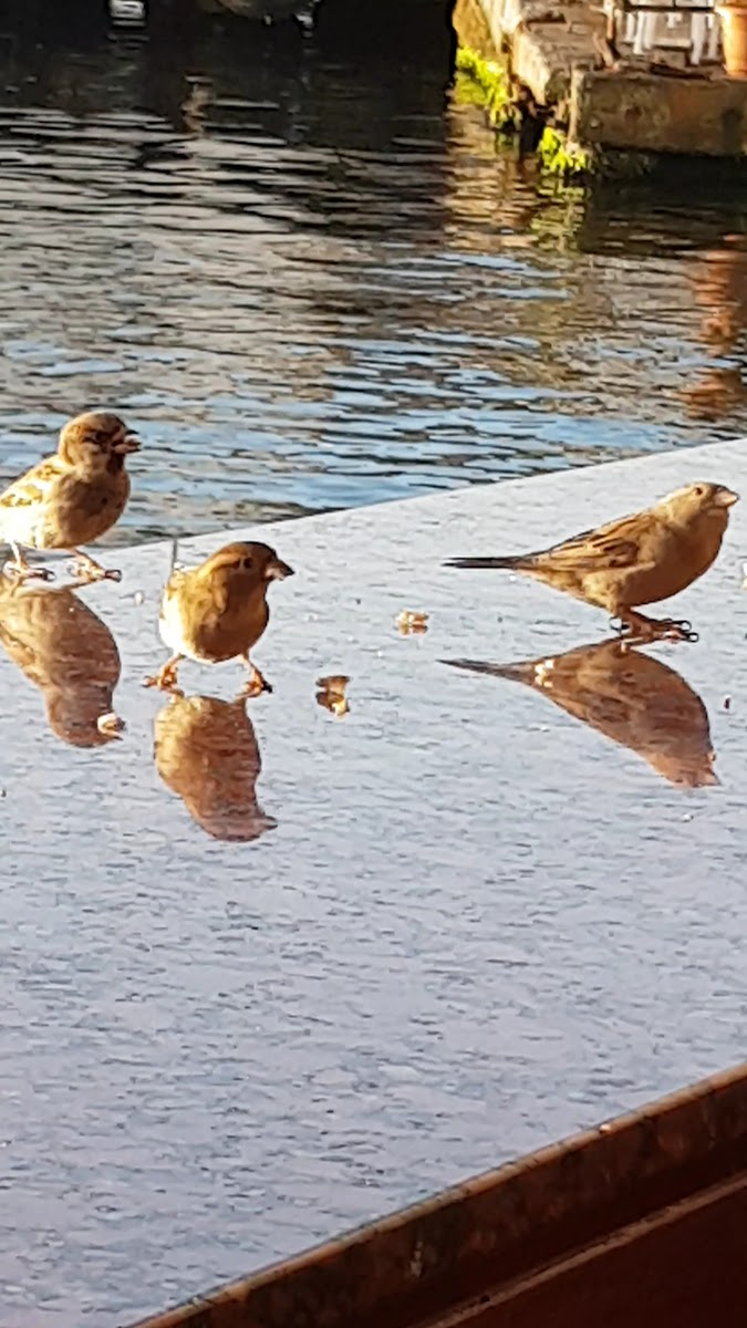 Emek Cafe — fotoğraf 3