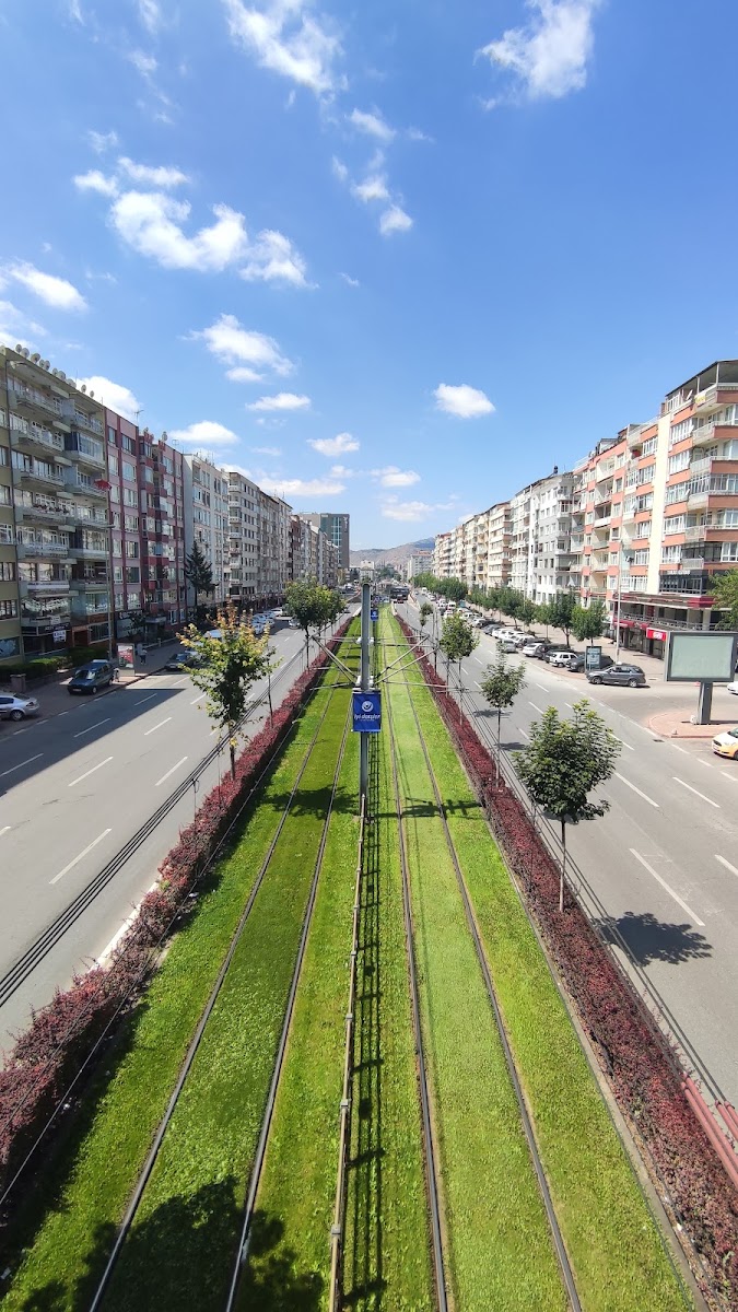 Emirgan Parkı — fotoğraf 1