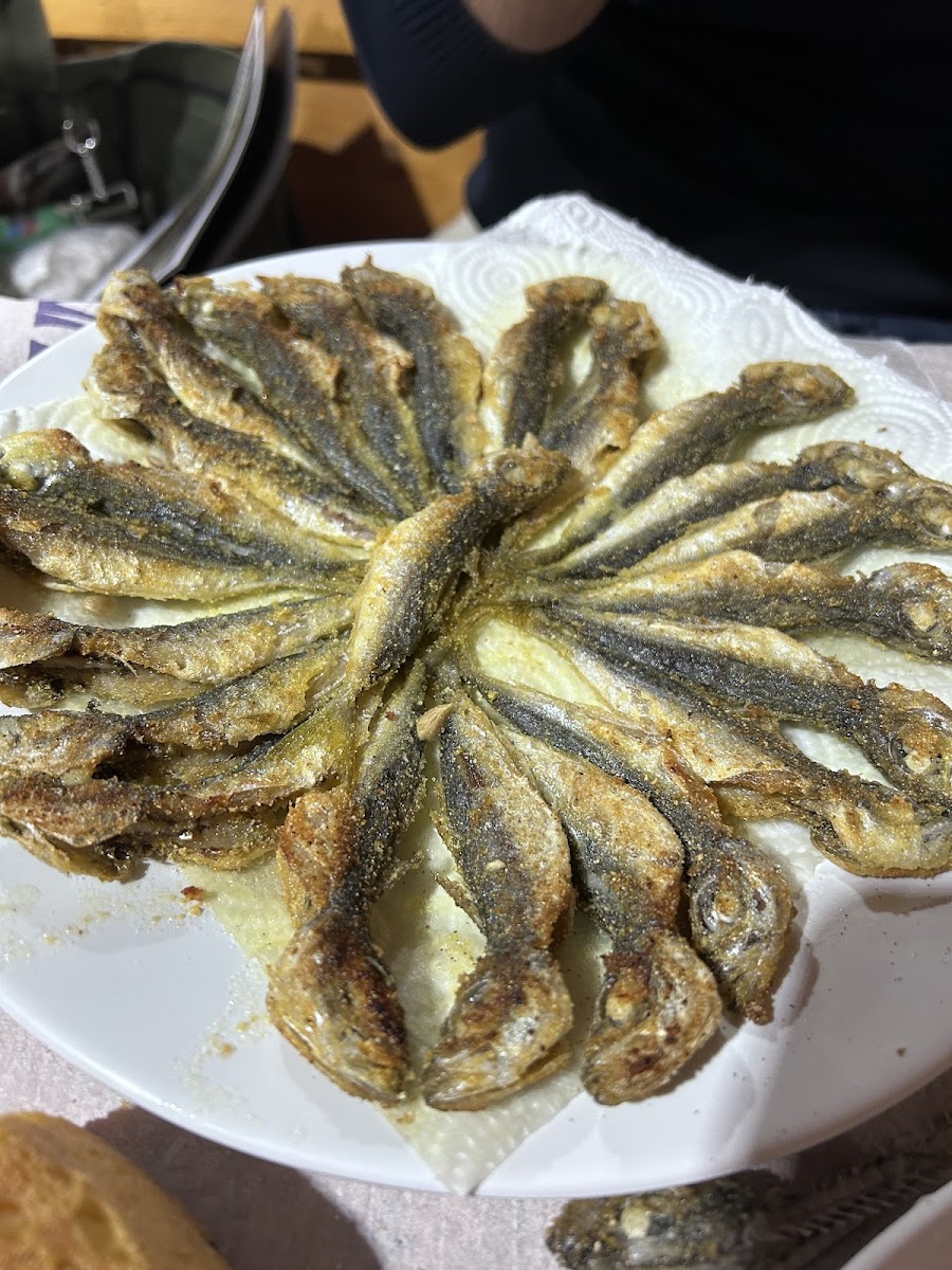 Erbaylar balıkçılık SAMANLI — fotoğraf 5