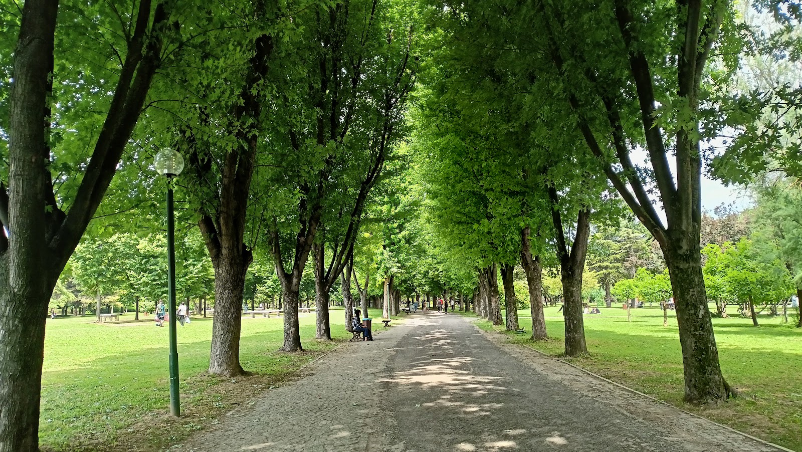 Erdem Saker Botanik Parkı — fotoğraf 1