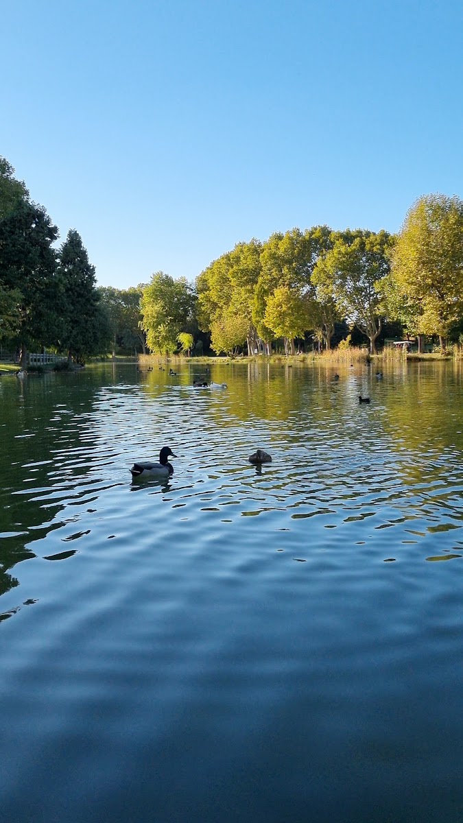Erdem Saker Botanik Parkı — fotoğraf 3