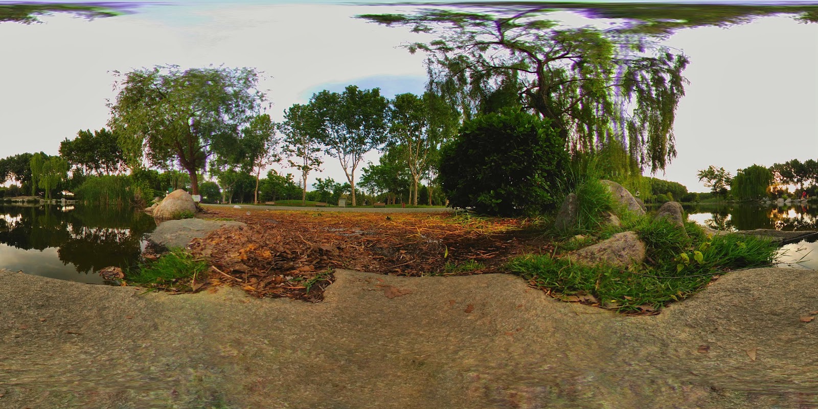 Erdem Saker Botanik Parkı — fotoğraf 4