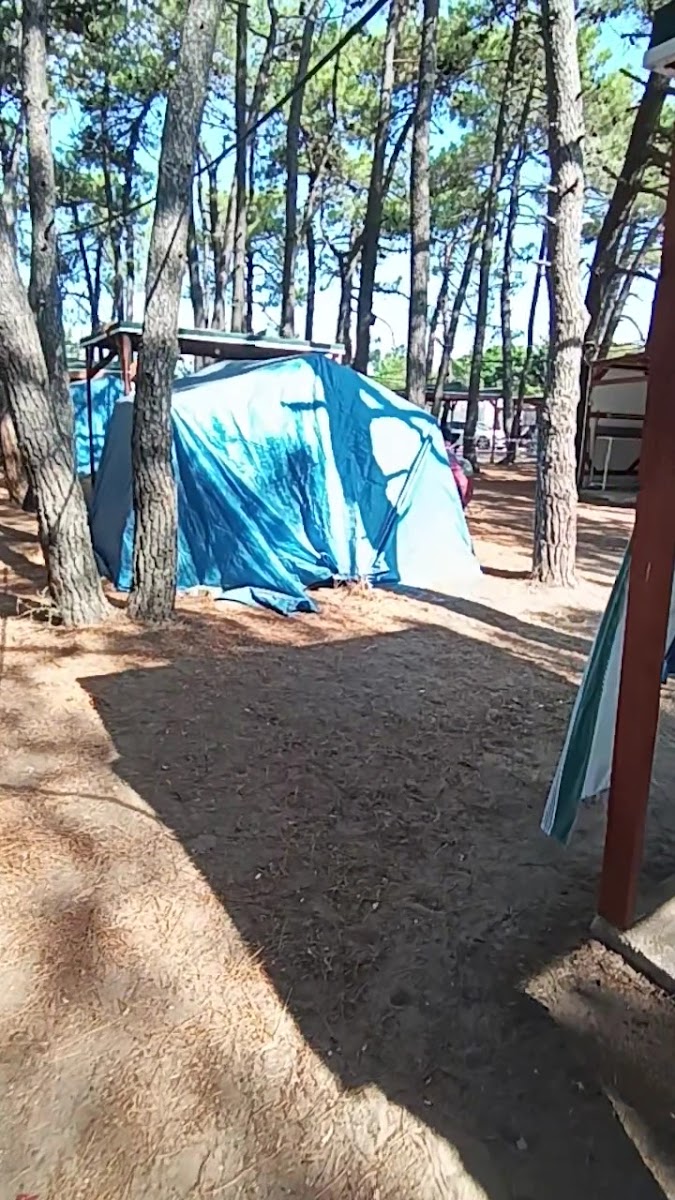Erikli Camping - Erikli Kamp Alanı — fotoğraf 3