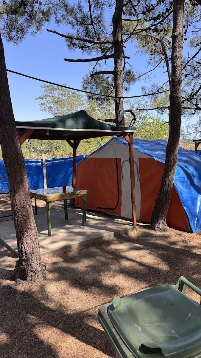 Erikli Camping - Erikli Kamp Alanı — fotoğraf 4