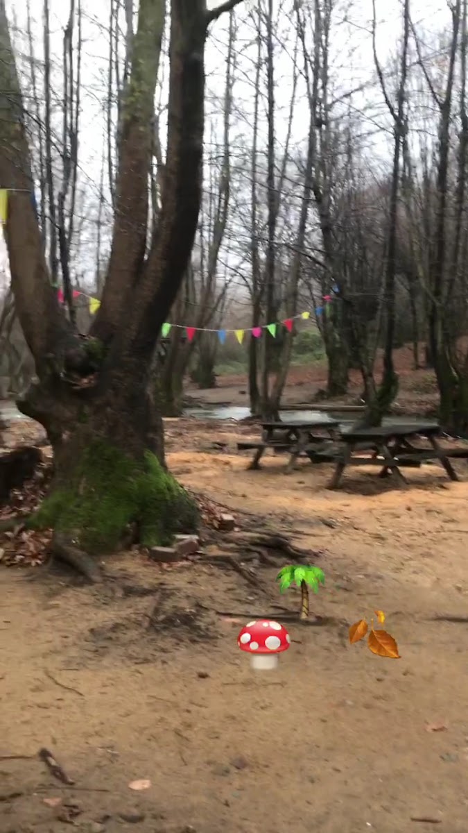 Erikli Şelale Kamp Alani — fotoğraf 3