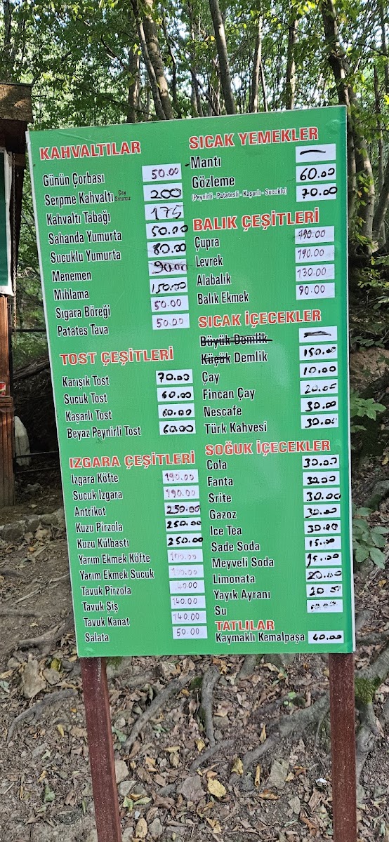 Erikli Şelalesi — fotoğraf 4