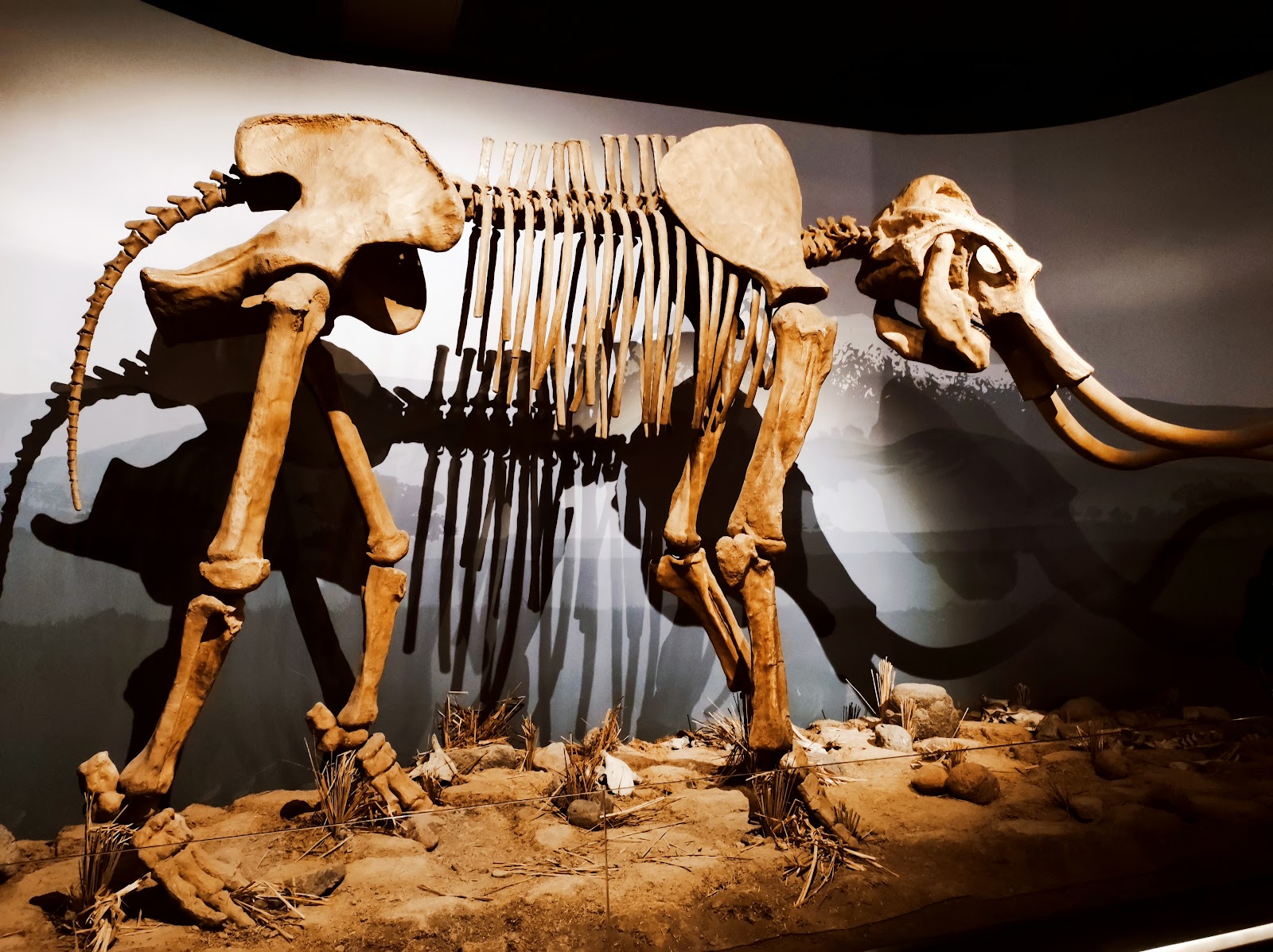 Erzurum: Müze, Kongre Evi ve Yakutiye Meydanı
