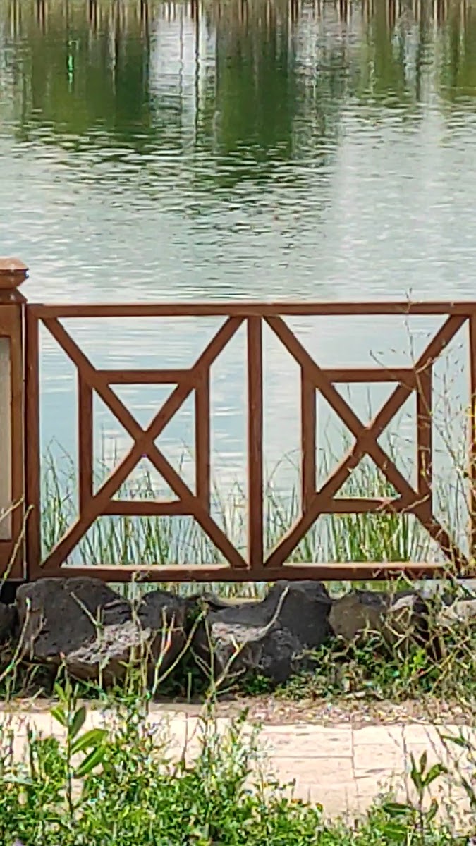 Erzurum Olimpiyat Parki — fotoğraf 3