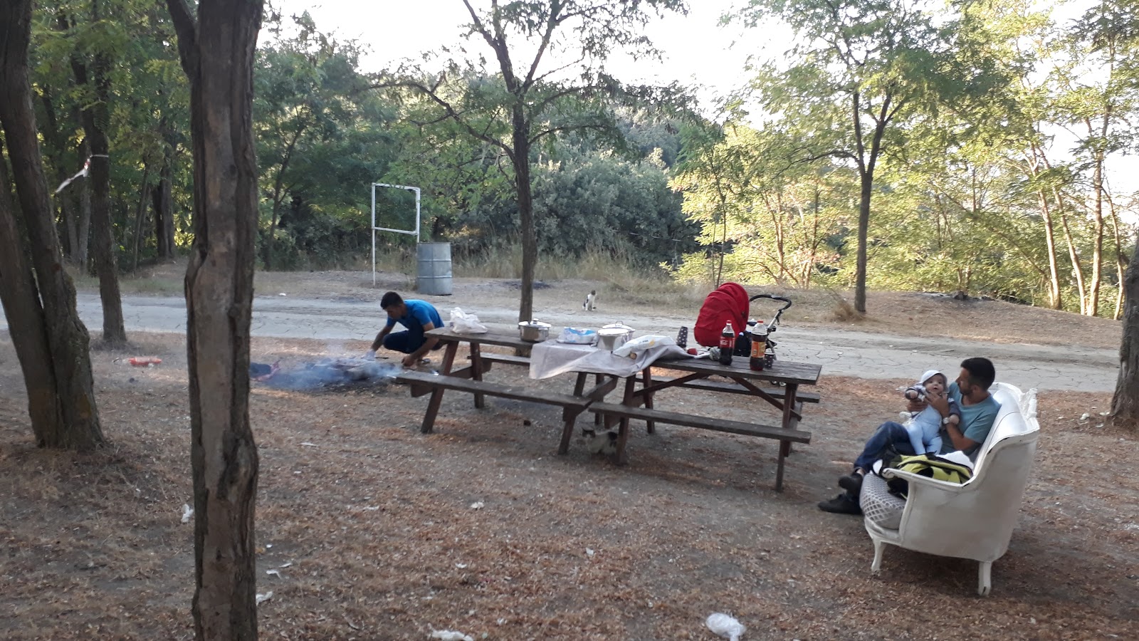 Esetçe Piknik ve Mesire Alanı ( At Binicilik ) — fotoğraf 1