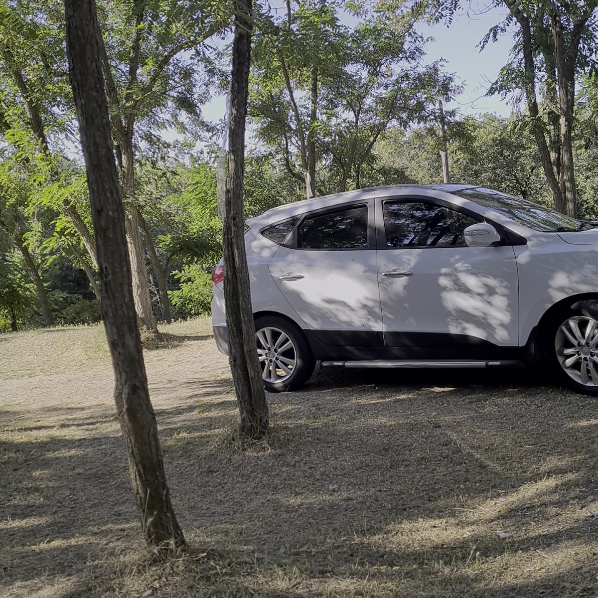 Esetçe Piknik ve Mesire Alanı ( At Binicilik ) — fotoğraf 2
