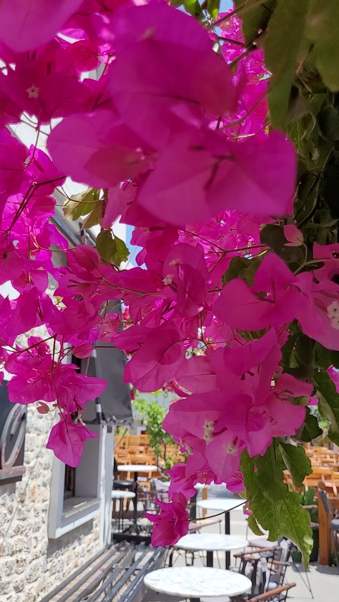 Eski Datça Mahallesi — fotoğraf 3