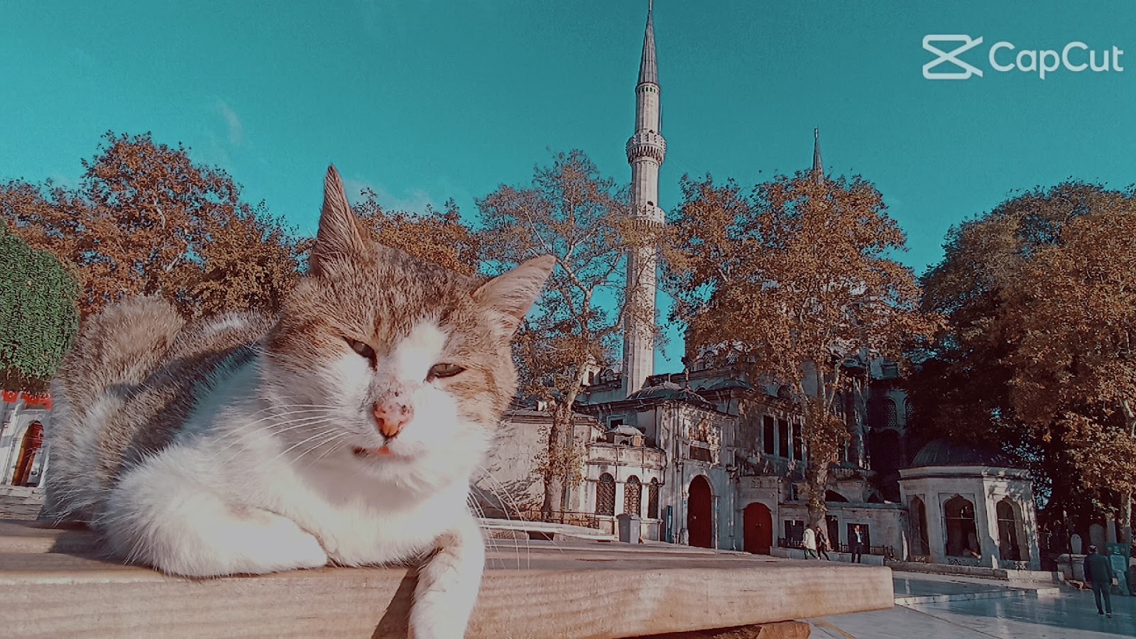 Eyüp Sultan Camii — fotoğraf 4