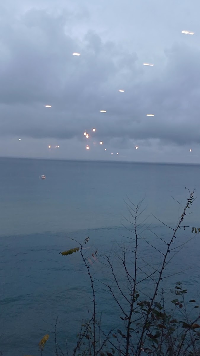 Falez Cafe&Restaurant&Pansiyon-Arhavi — fotoğraf 3