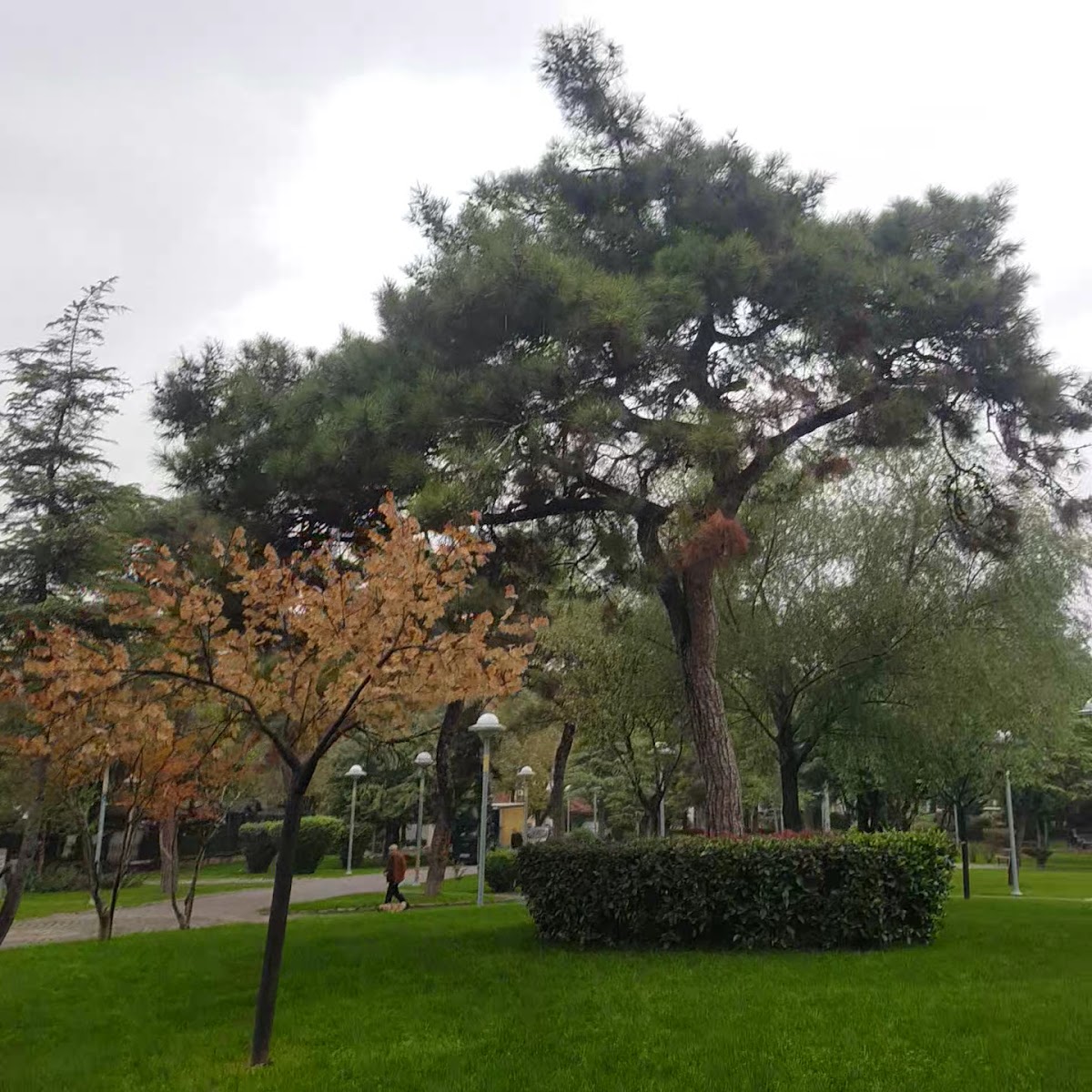 Fatih Parkı — fotoğraf 3