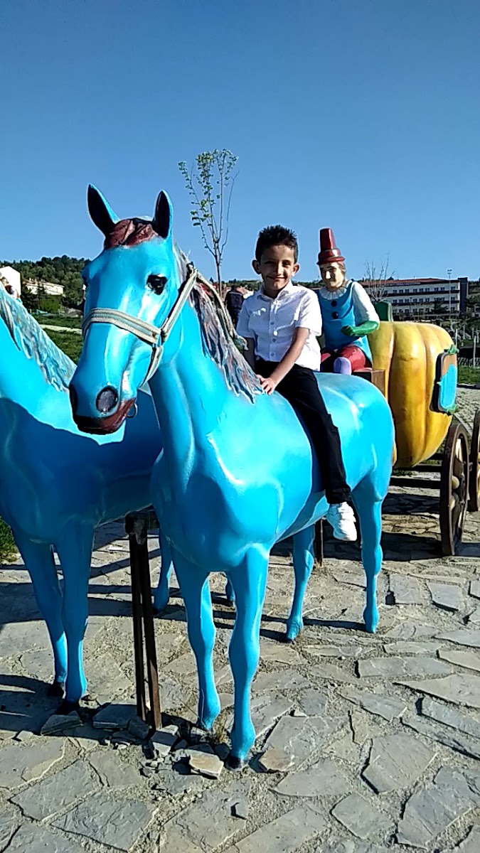 Fatih Sultan Mehmet Parkı — fotoğraf 2