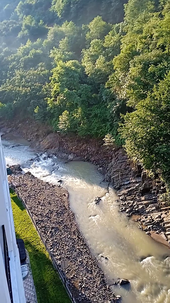 Fatsa Termal & Spa Otel ( Sarmaşık Kaplıcası ) — fotoğraf 3