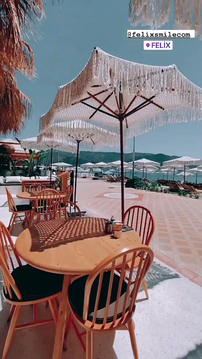 FELIX Garden — fotoğraf 3