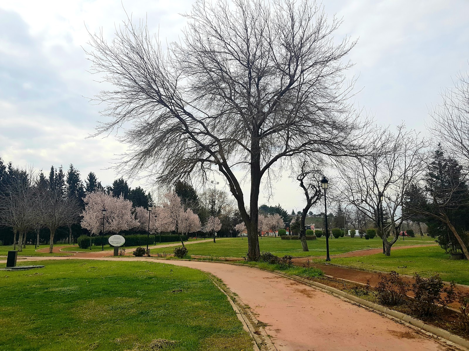 Festival Park — fotoğraf 1